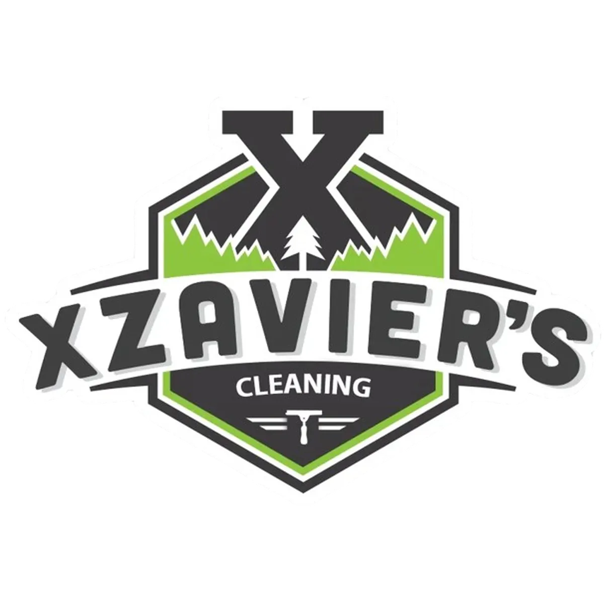 Xzavier's Gutter and Window Cleaning
