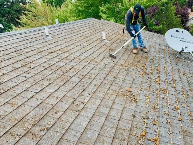 Roof Cleaning